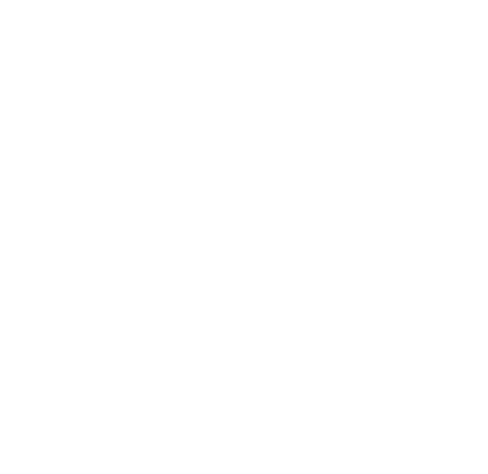 Lifetime Mortgages Equity Release
